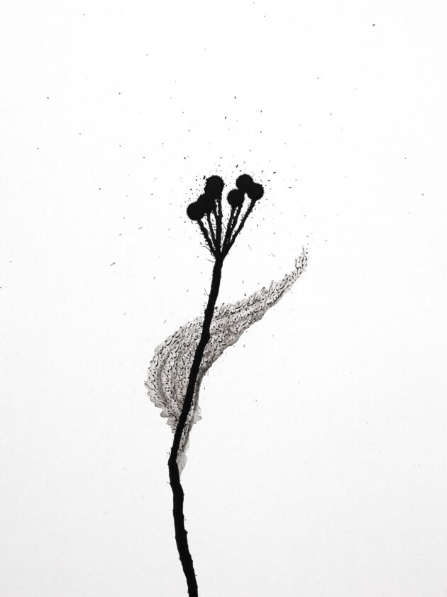 Paper Flower