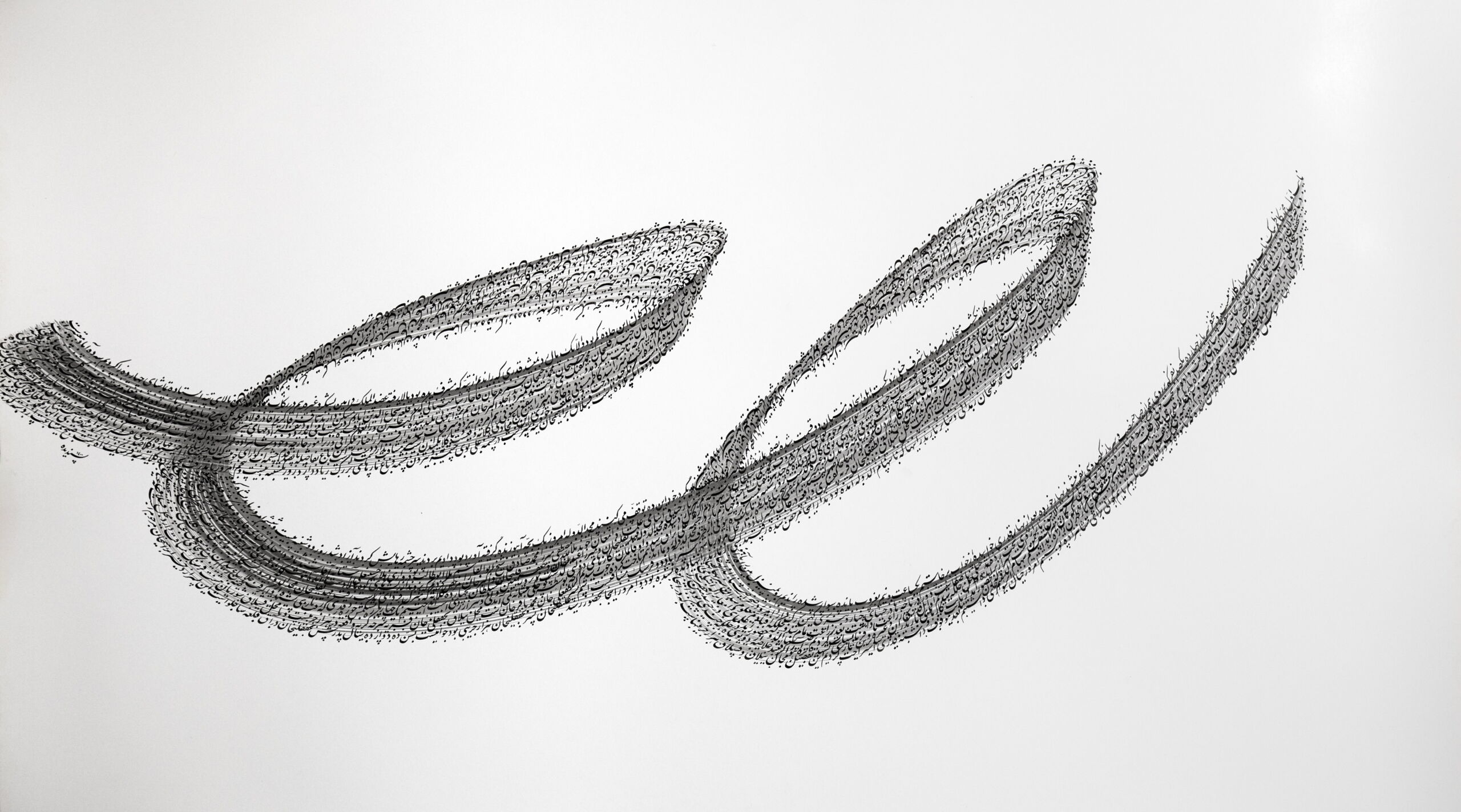 Fluid Lines